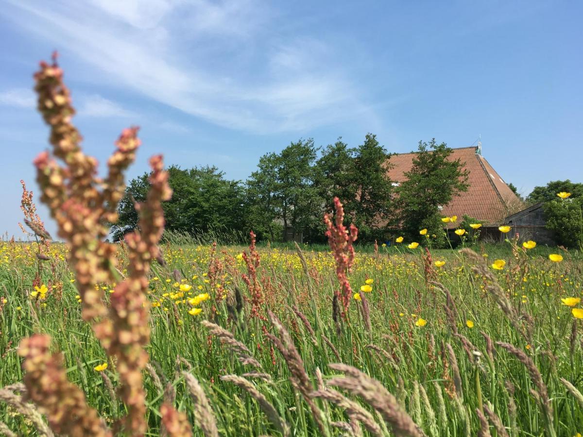 B&B Boerderij De Tempel Greonterp Exteriér fotografie